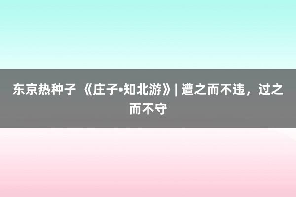 东京热种子 《庄子•知北游》| 遭之而不违，过之而不守