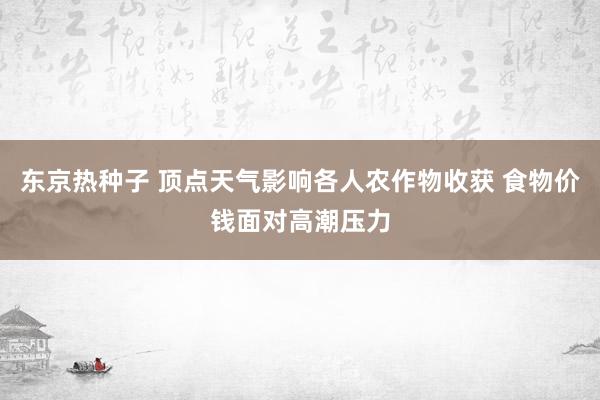 东京热种子 顶点天气影响各人农作物收获 食物价钱面对高潮压力
