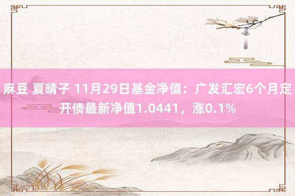 麻豆 夏晴子 11月29日基金净值：广发汇宏6个月定开债最新净值1.0441，涨0.1%