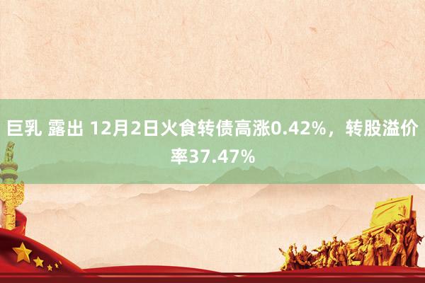巨乳 露出 12月2日火食转债高涨0.42%，转股溢价率37.47%