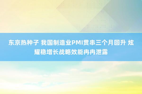 东京热种子 我国制造业PMI贯串三个月回升 炫耀稳增长战略效能冉冉泄露
