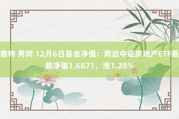 推特 男同 12月6日基金净值：南边中证房地产ETF最新净值1.6871，涨1.28%