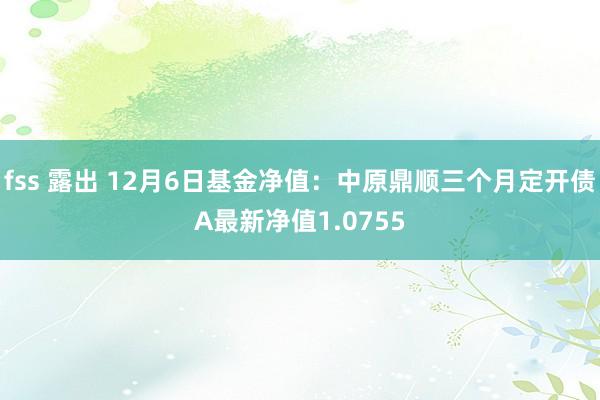 fss 露出 12月6日基金净值：中原鼎顺三个月定开债A最新净值1.0755