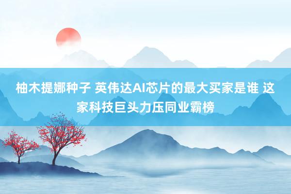 柚木提娜种子 英伟达AI芯片的最大买家是谁 这家科技巨头力压同业霸榜