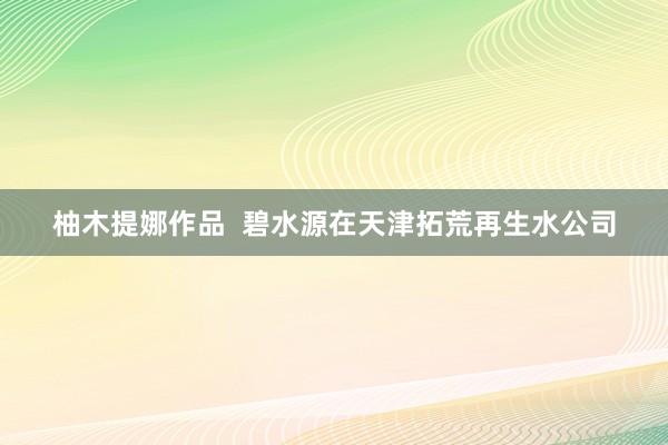 柚木提娜作品  碧水源在天津拓荒再生水公司