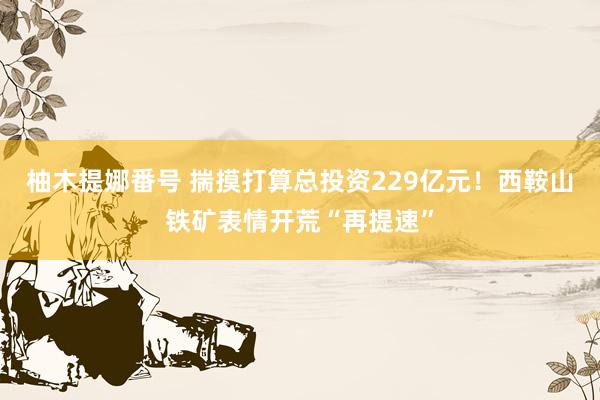 柚木提娜番号 揣摸打算总投资229亿元！西鞍山铁矿表情开荒“再提速”