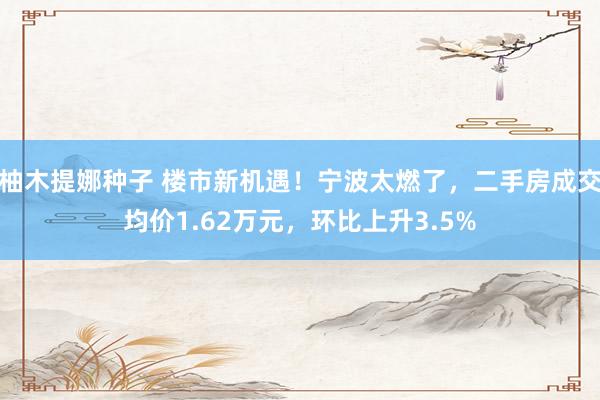 柚木提娜种子 楼市新机遇！宁波太燃了，二手房成交均价1.62万元，环比上升3.5%