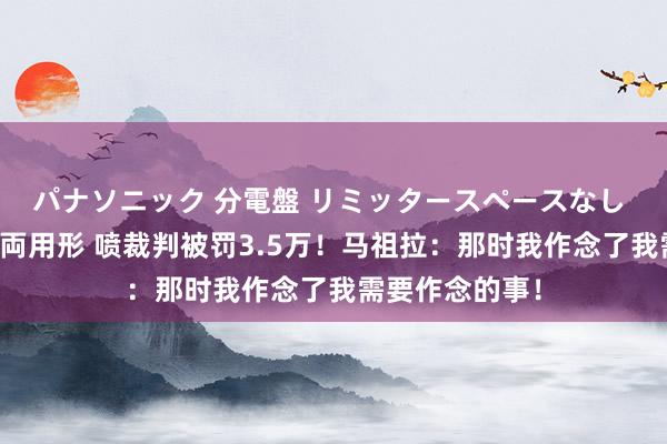 パナソニック 分電盤 リミッタースペースなし 露出・半埋込両用形 喷裁判被罚3.5万！马祖拉：那时我作念了我需要作念的事！
