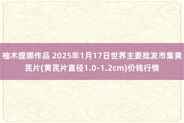 柚木提娜作品 2025年1月17日世界主要批发市集黄芪片(黄芪片直径1.0-1.2cm)价钱行情