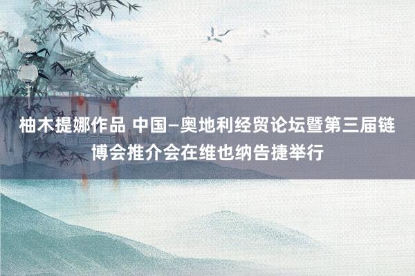 柚木提娜作品 中国—奥地利经贸论坛暨第三届链博会推介会在维也纳告捷举行