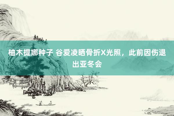 柚木提娜种子 谷爱凌晒骨折X光照，此前因伤退出亚冬会