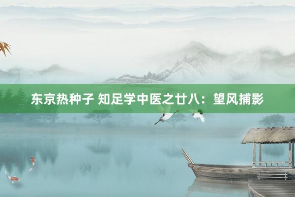 东京热种子 知足学中医之廿八：望风捕影