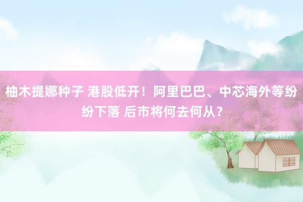 柚木提娜种子 港股低开！阿里巴巴、中芯海外等纷纷下落 后市将何去何从？