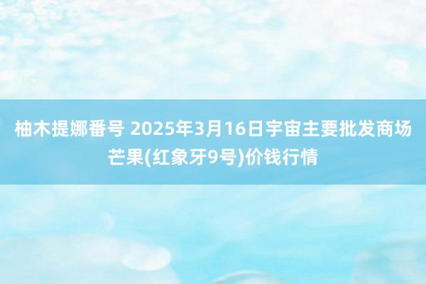 柚木提娜番号 2025年3月16日宇宙主要批发商场芒果(红象牙9号)价钱行情