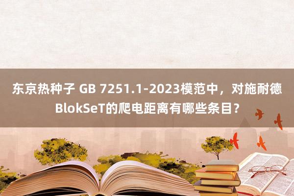 东京热种子 GB 7251.1-2023模范中，对施耐德BlokSeT的爬电距离有哪些条目？