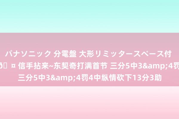 パナソニック 分電盤 大形リミッタースペース付 露出・半埋込両用形 🤠信手拈来~东契奇打满首节 三分5中3&4罚4中纵情砍下13分3助