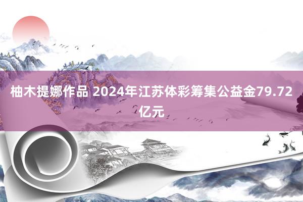 柚木提娜作品 2024年江苏体彩筹集公益金79.72亿元