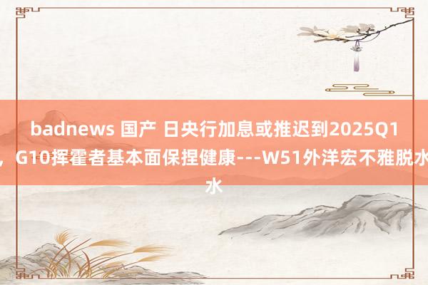 badnews 国产 日央行加息或推迟到2025Q1，G10挥霍者基本面保捏健康---W51外洋宏不雅脱水