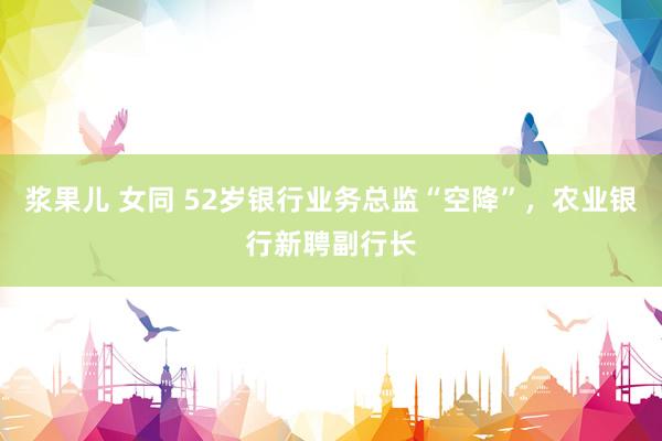 浆果儿 女同 52岁银行业务总监“空降”，农业银行新聘副行长