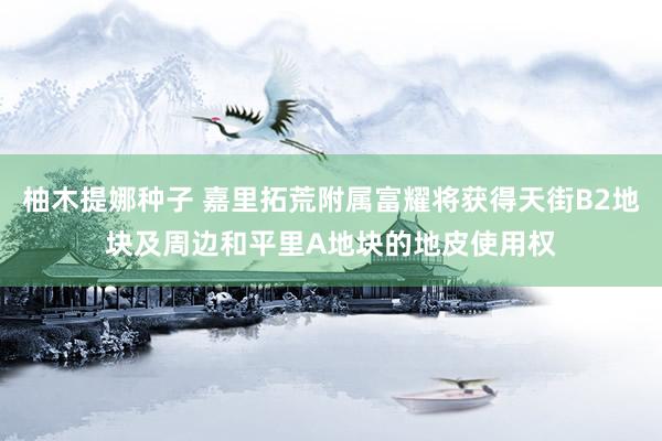柚木提娜种子 嘉里拓荒附属富耀将获得天街B2地块及周边和平里A地块的地皮使用权