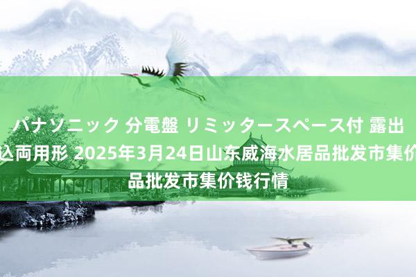 パナソニック 分電盤 リミッタースペース付 露出・半埋込両用形 2025年3月24日山东威海水居品批发市集价钱行情