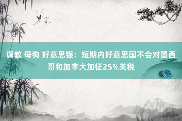 调教 母狗 好意思银：短期内好意思国不会对墨西哥和加拿大加征25%关税