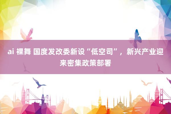 ai 裸舞 国度发改委新设“低空司”，新兴产业迎来密集政策部署