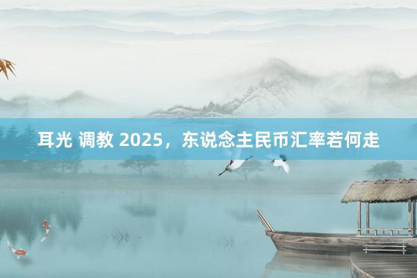 耳光 调教 2025，东说念主民币汇率若何走
