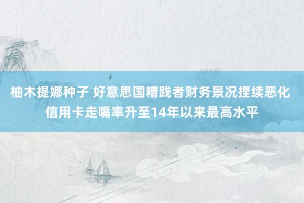 柚木提娜种子 好意思国糟践者财务景况捏续恶化 信用卡走嘴率升至14年以来最高水平