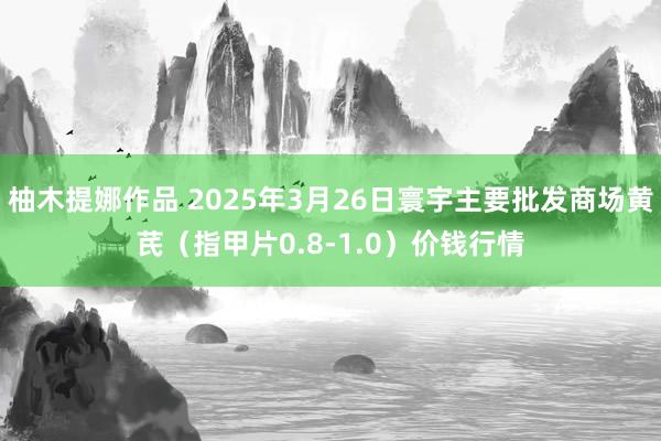 柚木提娜作品 2025年3月26日寰宇主要批发商场黄芪（指甲片0.8-1.0）价钱行情