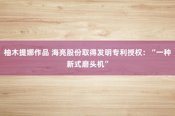 柚木提娜作品 海亮股份取得发明专利授权：“一种新式磨头机”