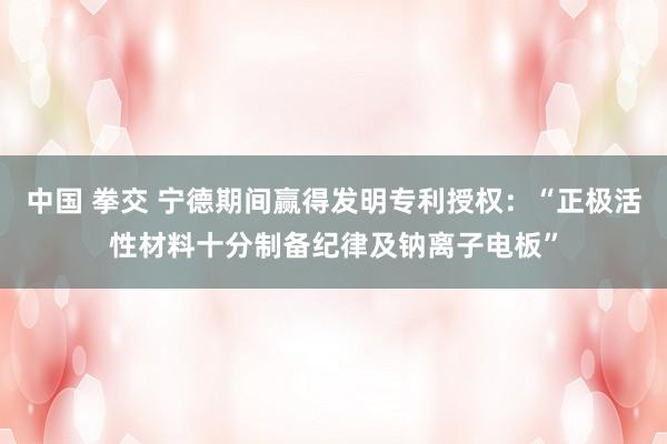 中国 拳交 宁德期间赢得发明专利授权：“正极活性材料十分制备纪律及钠离子电板”