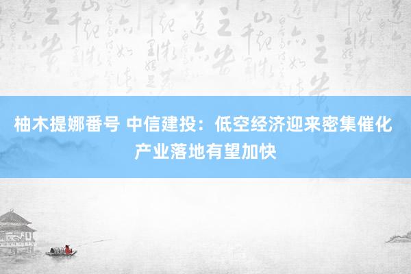 柚木提娜番号 中信建投：低空经济迎来密集催化 产业落地有望加快