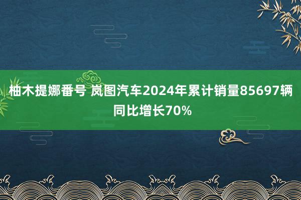 柚木提娜番号 岚图汽车2024年累计销量85697辆 同比增长70%