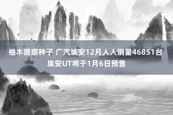 柚木提娜种子 广汽埃安12月人人销量46851台 埃安UT将于1月6日预售
