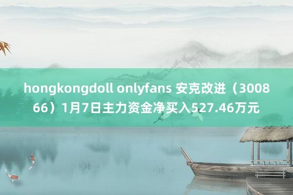 hongkongdoll onlyfans 安克改进（300866）1月7日主力资金净买入527.46万元