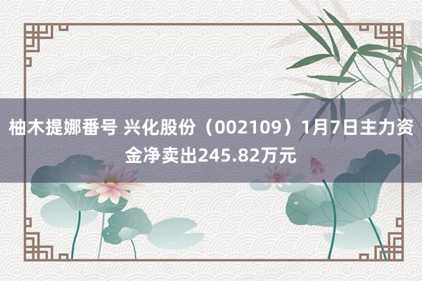 柚木提娜番号 兴化股份（002109）1月7日主力资金净卖出245.82万元
