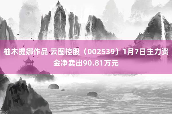 柚木提娜作品 云图控股（002539）1月7日主力资金净卖出90.81万元