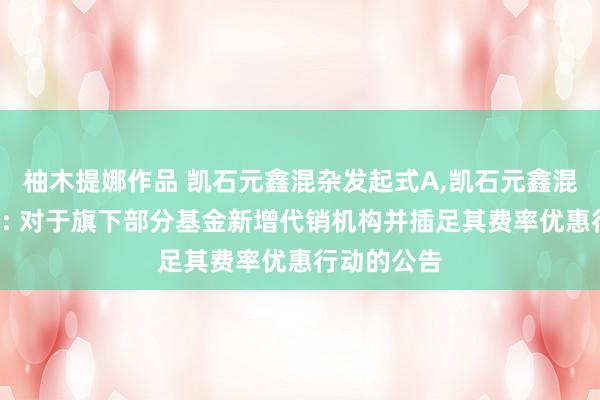 柚木提娜作品 凯石元鑫混杂发起式A,凯石元鑫混杂发起式C: 对于旗下部分基金新增代销机构并插足其费率优惠行动的公告