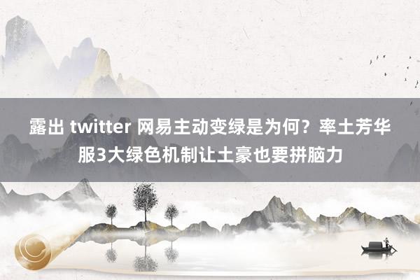 露出 twitter 网易主动变绿是为何？率土芳华服3大绿色机制让土豪也要拼脑力