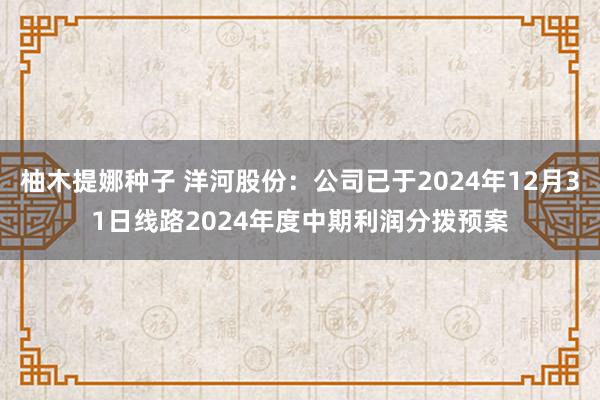 柚木提娜种子 洋河股份：公司已于2024年12月31日线路2024年度中期利润分拨预案