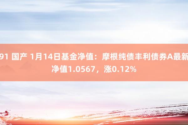 91 国产 1月14日基金净值：摩根纯债丰利债券A最新净值1.0567，涨0.12%