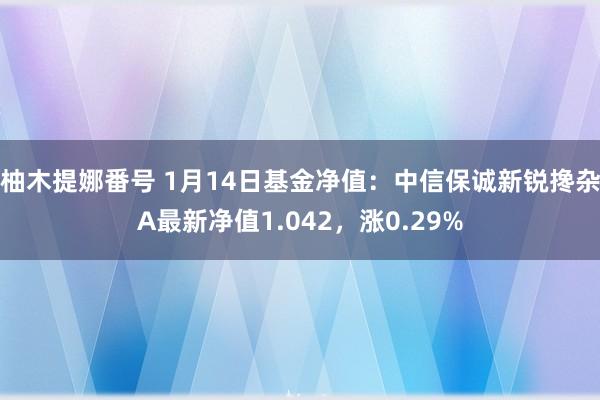 柚木提娜番号 1月14日基金净值：中信保诚新锐搀杂A最新净值1.042，涨0.29%