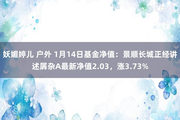 妖媚婷儿 户外 1月14日基金净值：景顺长城正经讲述羼杂A最新净值2.03，涨3.73%