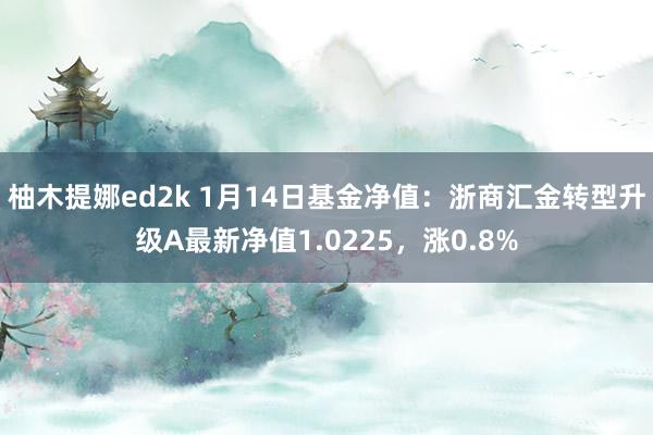 柚木提娜ed2k 1月14日基金净值：浙商汇金转型升级A最新净值1.0225，涨0.8%