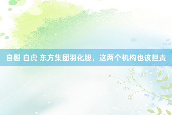 自慰 白虎 东方集团羽化股，这两个机构也该担责