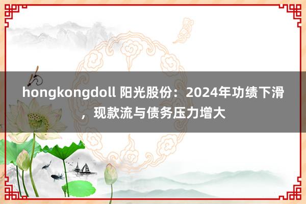 hongkongdoll 阳光股份：2024年功绩下滑，现款流与债务压力增大