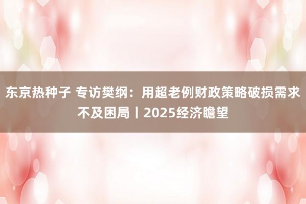 东京热种子 专访樊纲：用超老例财政策略破损需求不及困局丨2025经济瞻望