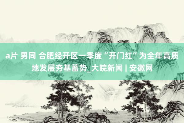 a片 男同 合肥经开区一季度“开门红”为全年高质地发展夯基蓄势_大皖新闻 | 安徽网