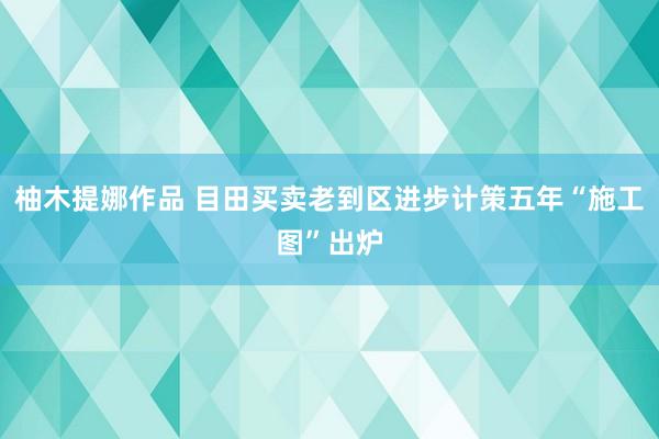 柚木提娜作品 目田买卖老到区进步计策五年“施工图”出炉